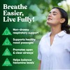 Breathe Inhaler Support Supplement – Sinus, Lungs, Open & Clear