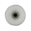 IPW Industries Inc. | 5-Pack 5-Micron String Wound Sediment Filter