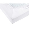 Müskaan Jersey Fitted Bed Sheet - 100% Cotton - Oeko-Tex