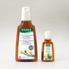 Rausch Coltsfoot Anti Dandruff Shampoo 200ml+ / 라우쉬 콜츠푸트 안티 댄드러프 샴푸 200ml+