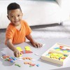 Melissa & Doug Pattern Blocks and Boards