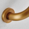 Shower Handle for Seniors Bath Handle Wall Handle Shower Handle