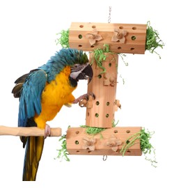 Activity Logs - XL Hanging Parrot Foraging Toy