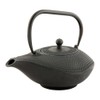 Tetsubin 34 Ounce Cast Iron Teapot, 1 With Strainer Iron