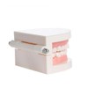 PVC Dental Care Model Dentist Adult Child Teeth Standard Teaching