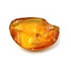 Amber Fossil with Insect Inclusion Plus Mini Microscope #17407 4o