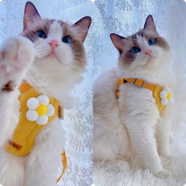 Dog Harness Backpack Cute Small Dog Vest Harness and Leash Set Plaid Soft Mesh Flower Pattern Dog Harness with Adjustable Travel Leash for Puppy Tiny Small Medium Dogs (Medium, Yellow Flower)