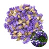 TooGet Flower Petals and Buds Forget-me-not Bulk Flower to Make