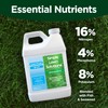 Advanced 16-4-8 Lawn Fertilizer - Liquid Lawn Food Spring &