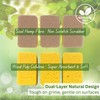 HNTR® 6 x Eco Sponges Washing Up | Eco Washing