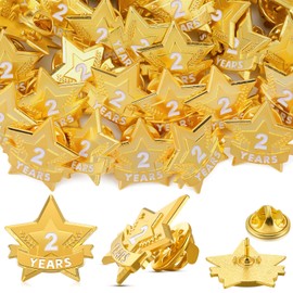 Remuuly 36 Pcs Year Service Award Star Lapel Pins Year of Service Award Lapel Pin Reward Star Pins for Long Standing Employees Volunteers (2 Year)