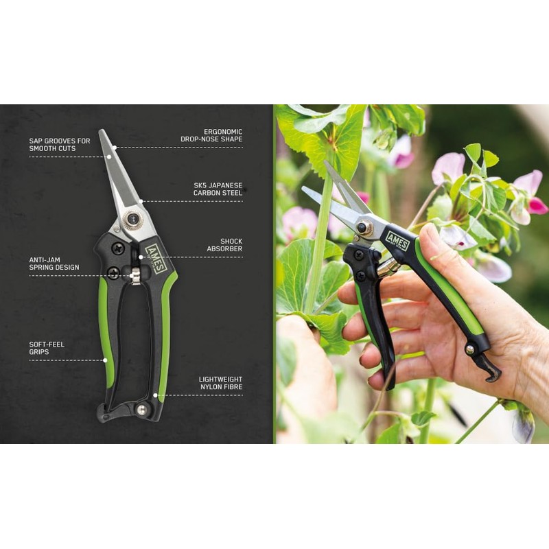 AMES Precision Snips