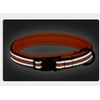 haoyueer Reflective Nylon Dog Collar with Safety Buckle, Adjustable Pet