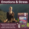 Functional Mushroom Gummies, 2500mg w/Ashwagandha Shiit Blend for Focus Immunity