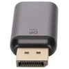 DP DisplayPort Input Male to HD Sink Output Female Displays
