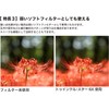 Kenko 825228 PRO1D R-Twinkle Star 6X (W) 52mm Cross Filter