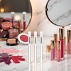 3Pcs Silicone Lip Brush,Silicone Lip Brush Makeup Brushes With Dirt-proof