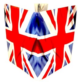 Union Jack Passport Cover Holder Protector Wallet Case for Travel Holiday Luggage UK European Universal Size Mens Womens