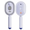 Rechargeable Water Spray Hair Brush for Women – USB-C Detangling