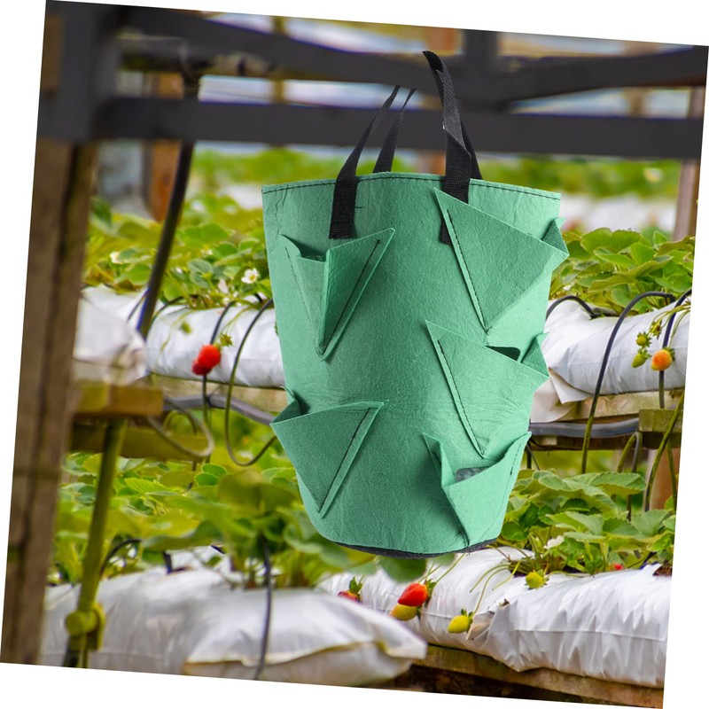 CIYODO 2pcs Strawberry Growing Bag Plant Grow Bags Non-Woven Planters
