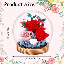 Rose Flowers Gifts for Girlfriend Wife Mom Grandma Sister Women, Preserved Flowers in Glass Dome with LED Lights, Elegant Gifts for Birthday Anniversary Valentine's Day Mother's Day Wedding (red)