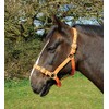 Rhinegold Nylon Headcollar - X Full - Tangerine