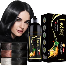 Champú de coloración instantánea, champú de coloración, cobertura de canas, tinte natural, champú 3 en 1（500ml，negro）