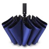 Men's Folding Umbrella, Automatic Open & Close, 12 Ribs, Heavy