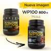 EVOLUTION, Protena de Suero de Leche, WP100, Whey Protein, 18
