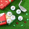 Sinmoe Golf Ball Gift Set Funny Novelty Golfer Present for