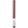 Labial Maybelline Super Stay Ink Crayon Mate Lead The Way