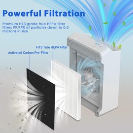 Breshair C545 Filter Replacement Compatible with Winix C545 Air Purifier, 2 True HEPA Filters S and 8 Activated Carbon Filters, Part # 1712-0096-00 & 2522-0058-00