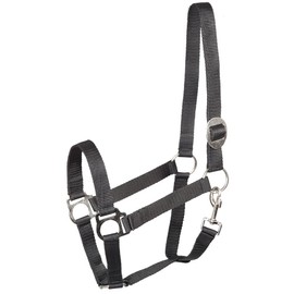 PFIFF 101668 Kunststoffhalfter, Halfter aus Kunststoff, stufenlose Verstellmöglichkeit am Genickstück, gute strapazierfähige Qualität, Schwarz, Cob