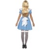 Women's Alice In Wonderland Deck of Cards Costume - S