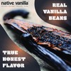 Native Vanilla 25 Organic Madagascar Vanilla Beans - Gourmet Grade