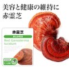 Lipsa Red Reishi Lishi Approx. 1 Month Supply x 6