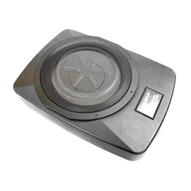 CGP 10 Inch 9.8 inches (25 cm) Low Profile Subwoofer 1 Subwoofer SUBWOOFER YE-2117