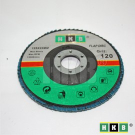 HKB 50100 Flap Disc Grain 120, 125 x 22 mm, Blue, Zircon, Pack of 20 for Stainless Steel, Metal, INOX, for Flex and Angle Grinders, Pack of 20