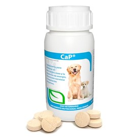 RUILAND Ca-P Suplemento con Vitamina D, Calcio y Fósforo para Perros | Apoya Energía y Salud Ósea | Tabletas Masticables para Cachorros, Adultos y Perros en Gestación o Lactación | Dosis Ideal
