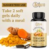 Liposomal Turmeric Curcumin Supplement 2000mg, 95% Standardized Curcuminoid Extract &