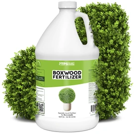 Boxwood Fertilizer – Liquid Plant Food for Dense Growth, Rich Green Foliage, & Stronger Roots, 1 Gallon