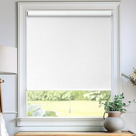 CHICOLOGY Roller Shades, Cordless Blinds, Window Shades for Home, Roller Window Shades, Window Treatments, Door Blinds, Light Filtering Shades, Chalk White, 23" W x 72" H