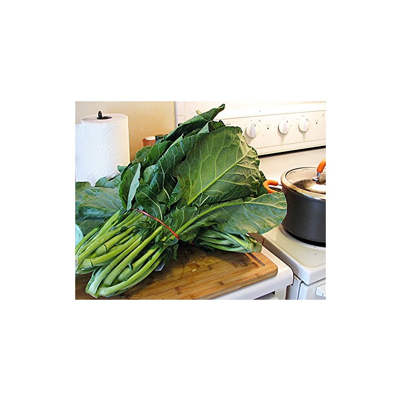 100+ Giant Collard Georgia Southern Seeds Herb Heirloom Non-GMO from