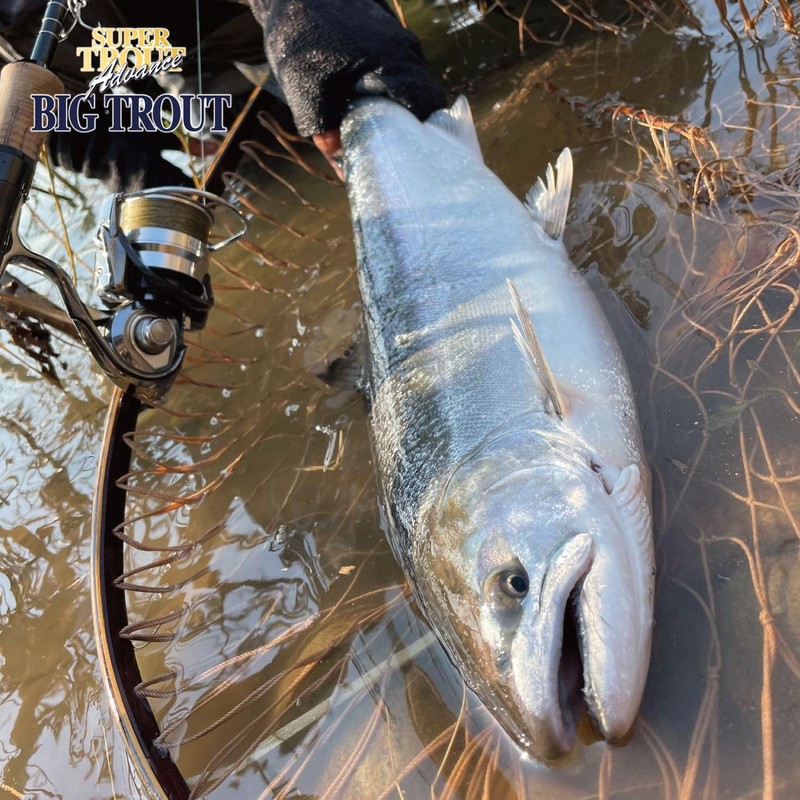 Varivas Super Trout Advanced Big Trout Nylon Line 150m No.