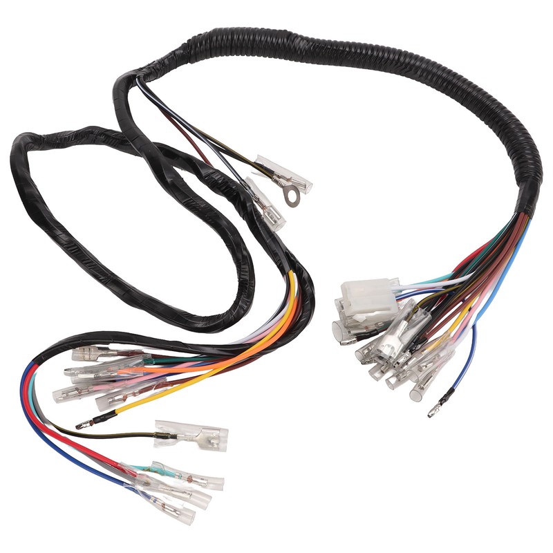 Vehicle Complete Main Electrical Wiring Harness with Connectors Automotive Replacement