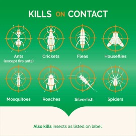 HOT SHOT Bug Bomb Indoor Pest,Control Fogger Kill roaches Spiders,Flies Fleas Killer 3Pcs