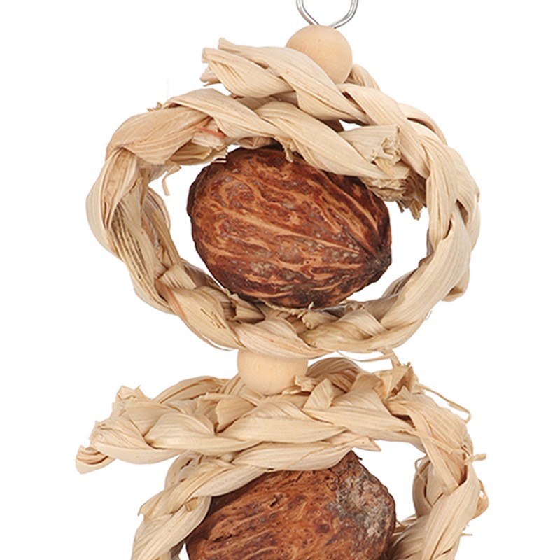 5PCS Parrot Cuttlebone Chew Toy Bite Resistant Corn Leaf Nuts