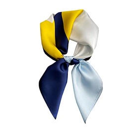 Ecroon Women's Silk Feel Scarf Scarf Women Silk Scarf Silk Scarf Bandana Handkerchief Neck Wrist