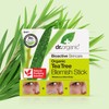 Dr Organic, Organic Tea Tree Blemish Stick , Natural ,