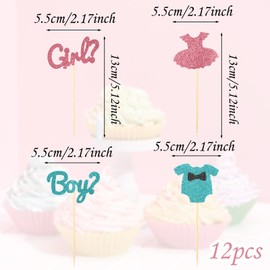 AHQiZFX Gender Reveal Cupcake Toppers, 12 Pcs Baby Shower Cupcake Toppers for Gender Reveal Themed Party Boy or Girl Theme Party Birthday Party Cupcake Toppers Supplies